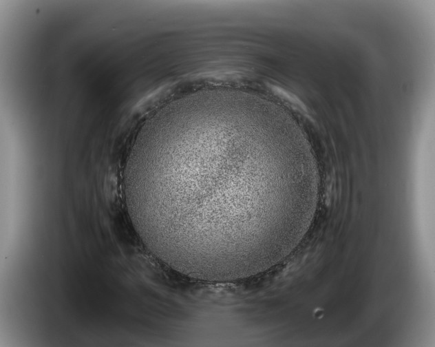 X0000086240966200704051215