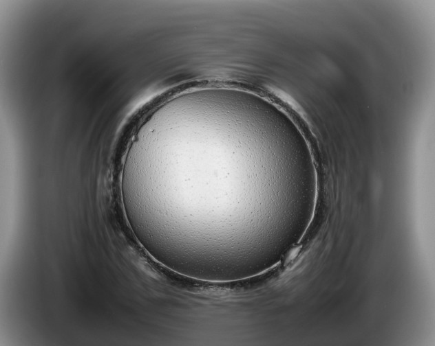 X0000086240971200704051215
