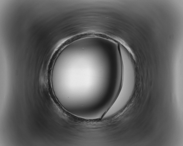 X0000086240972200704051215
