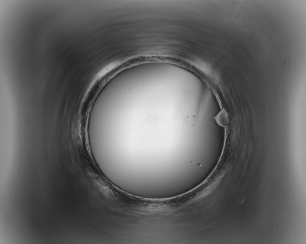 X0000086240974200704051215