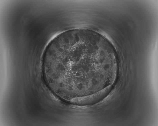 X0000086240975200704051215
