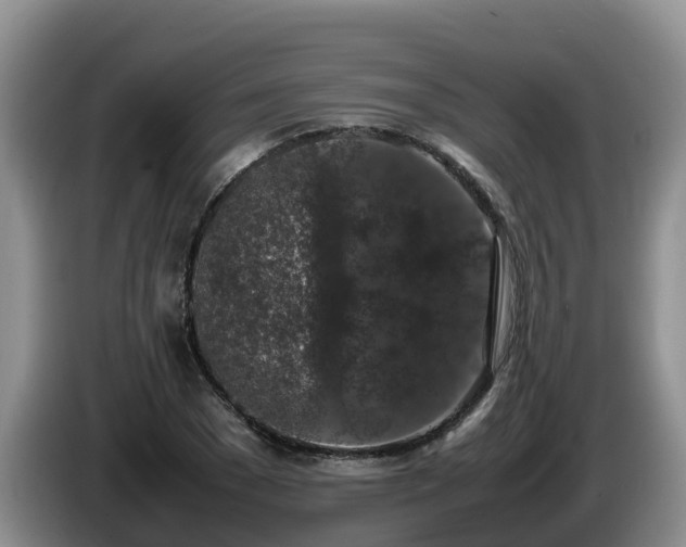 X0000086240977200704051215