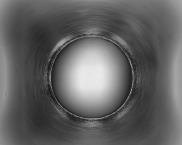 X0000086240978200704051215