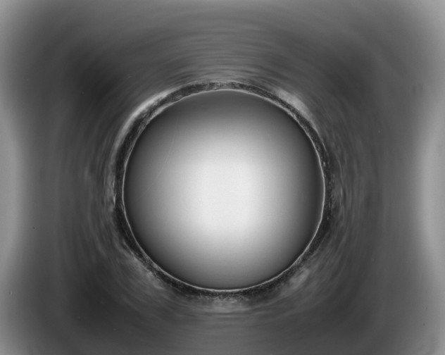 X0000086240979200704051215