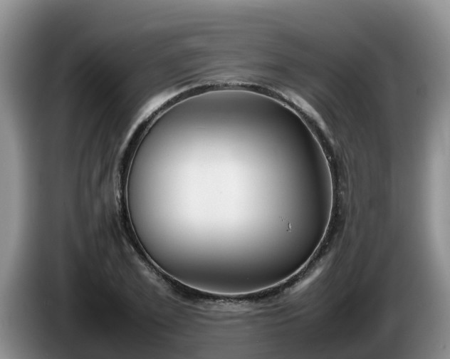 X0000086240981200704051215