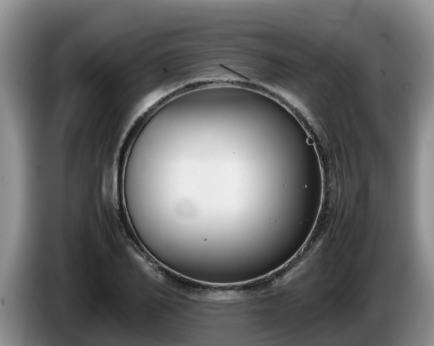 X0000086240982200704051215