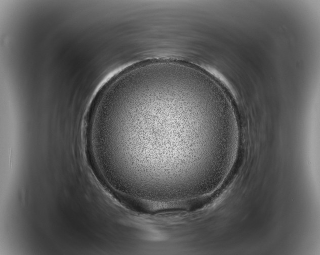 X0000086240983200704051215