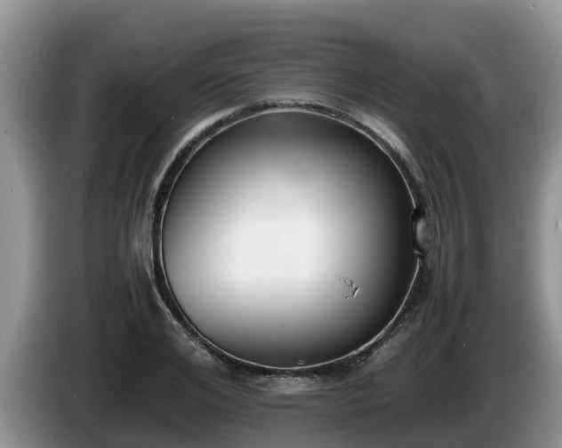 X0000086240984200704051215
