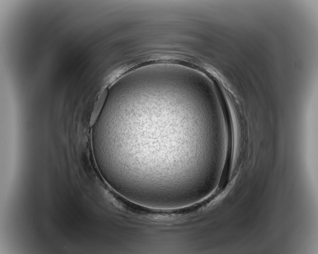X0000086240985200704051215