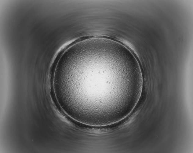 X0000086240987200704051215
