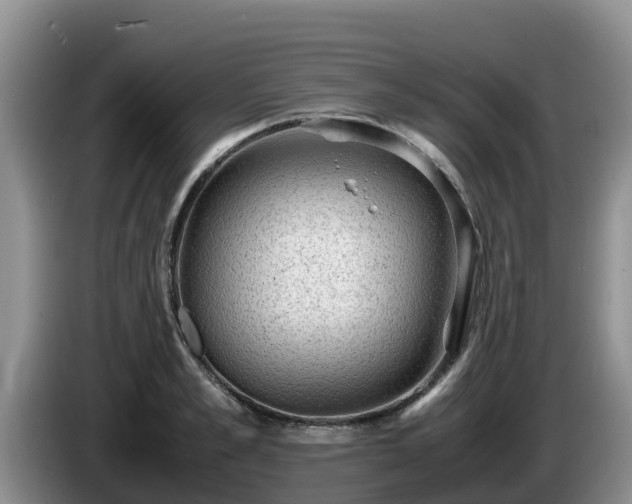 X0000086240989200704051215