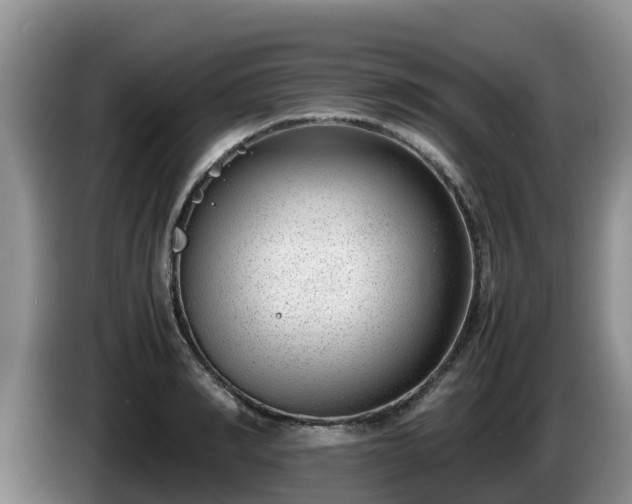 X0000086240990200704051215