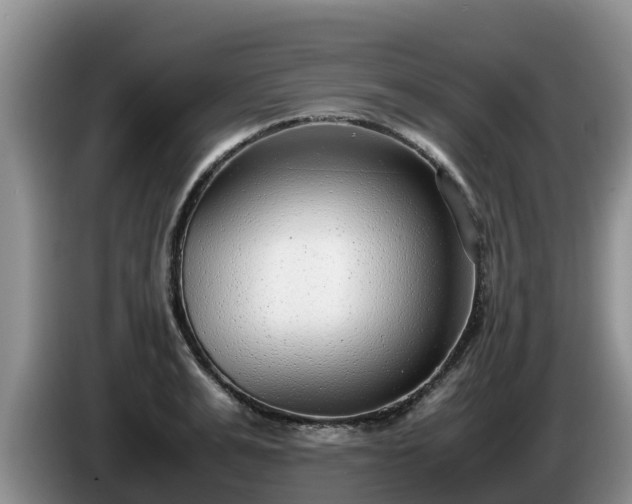 X0000086240991200704051215