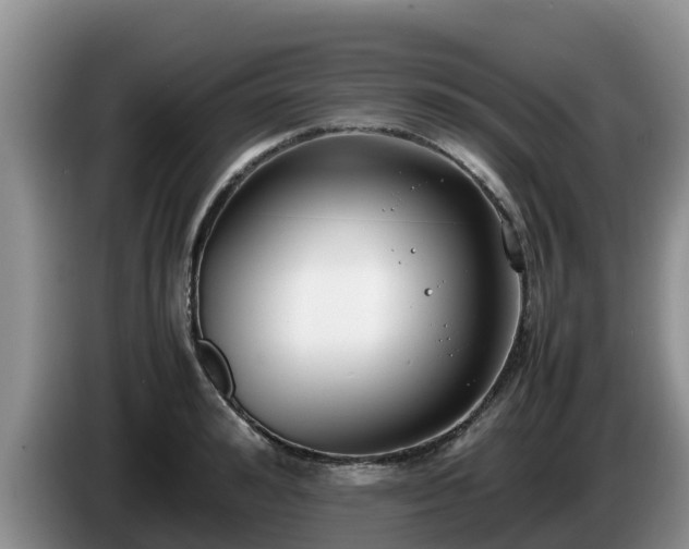 X0000086240992200704051215