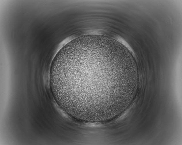 X0000086240994200704051215