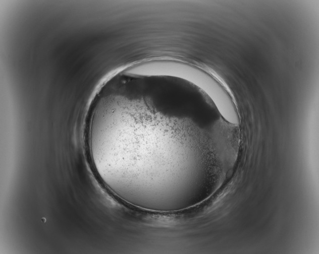 X0000086240995200704051215
