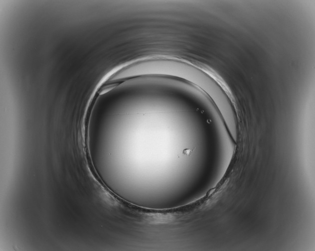 X0000086240996200704051215