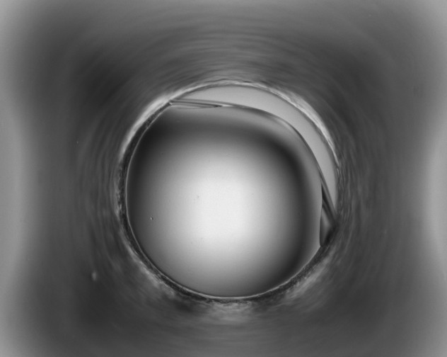 X0000086240997200704051215