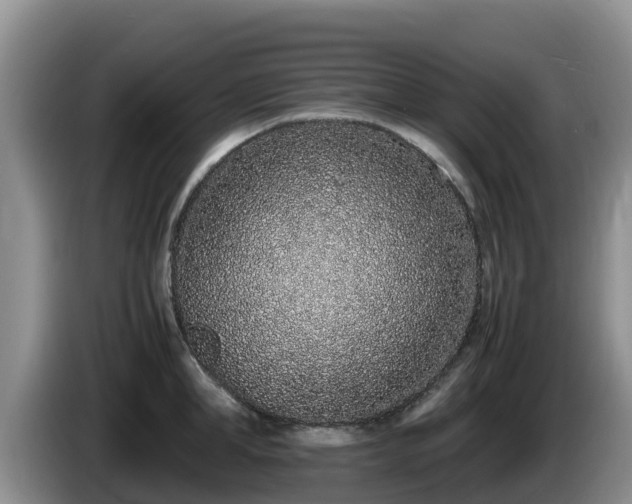 X0000086240998200704051215
