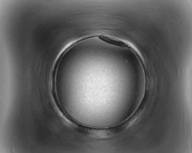 X0000086240999200704051215