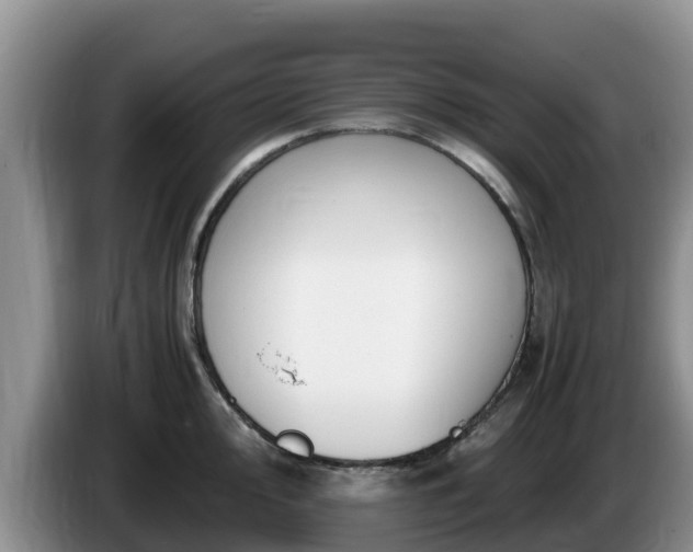 X0000086241000200704051215
