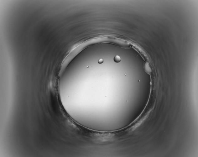 X0000086241001200704051215