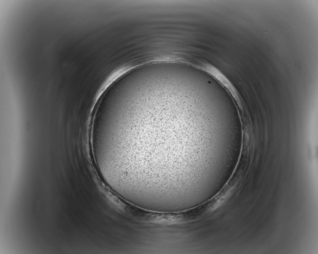 X0000086241002200704051215