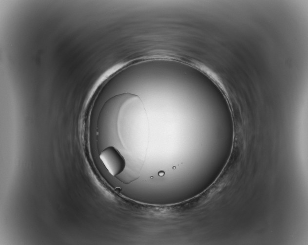 X0000086241003200704051215