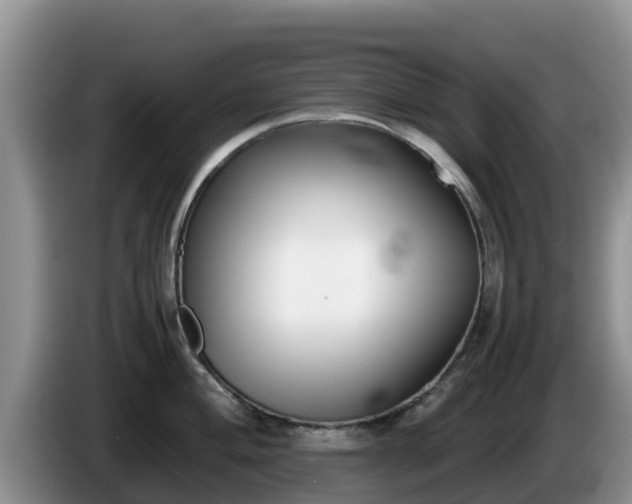 X0000086241004200704051215