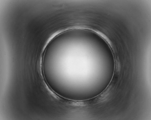 X0000086241006200704051215