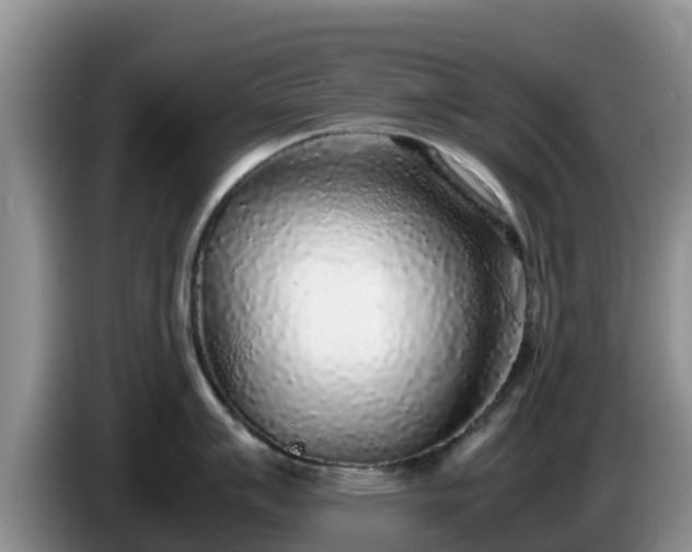 X0000086241007200704051215