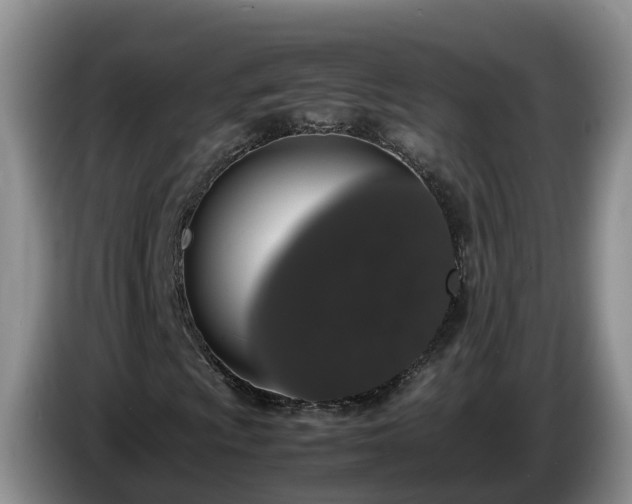 X0000086241009200704051214