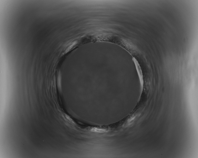 X0000086241010200704051214