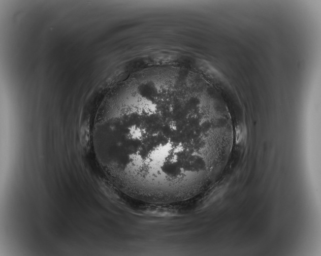 X0000086241011200704051214