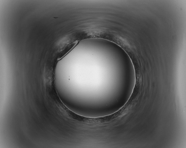 X0000086241012200704051214