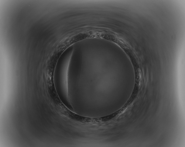 X0000086241013200704051214