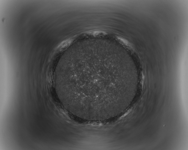 X0000086241014200704051214