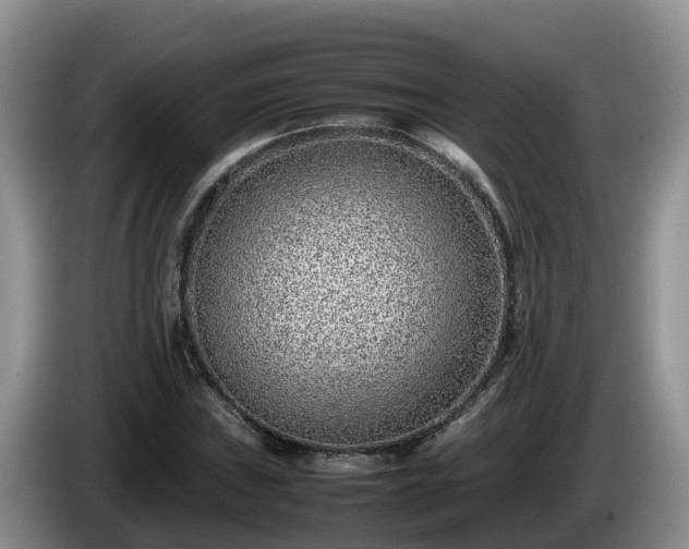 X0000086241019200704051214