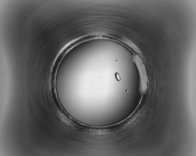 X0000086241020200704051214