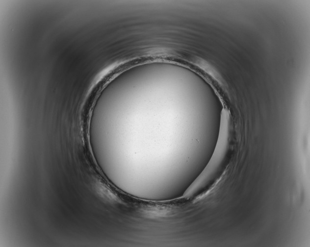 X0000086241022200704051214