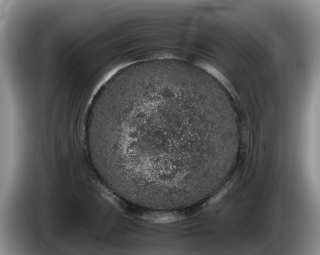 X0000086241023200704051214