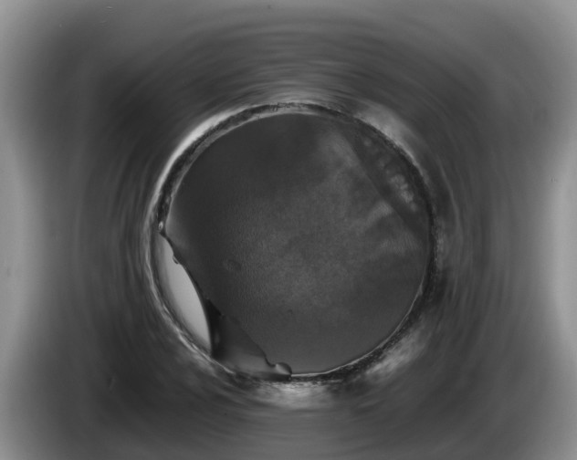 X0000086241024200704051214