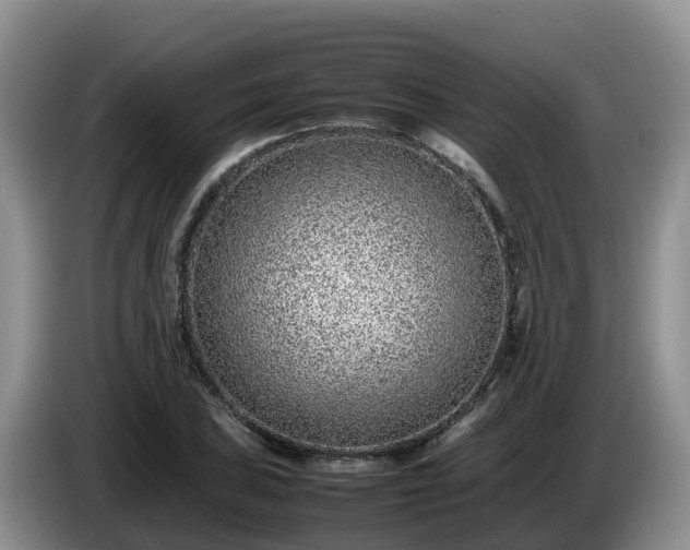 X0000086241027200704051214