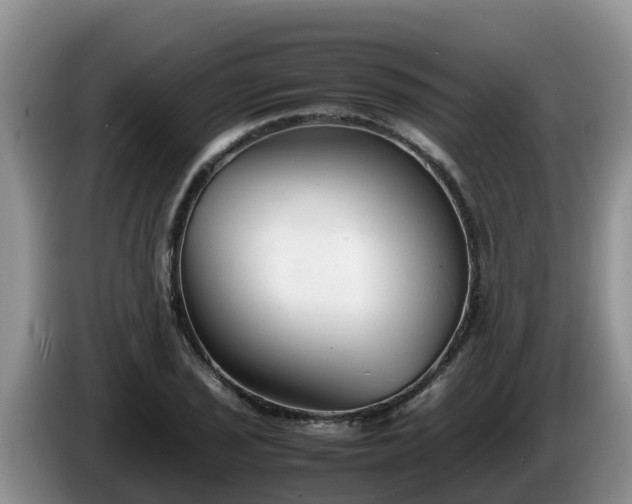 X0000086241029200704051214