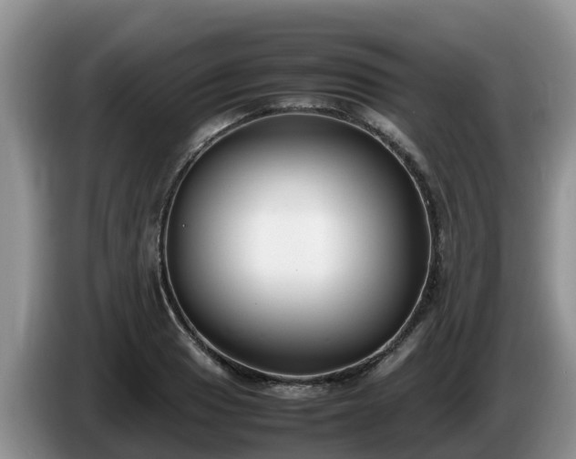 X0000086241033200704051214