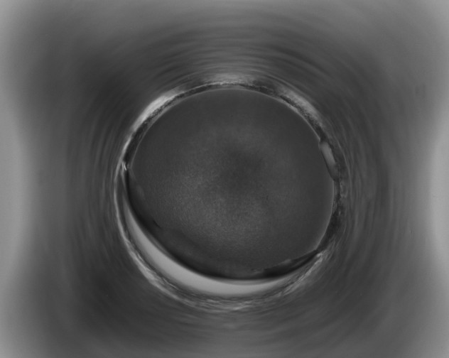 X0000086241034200704051214