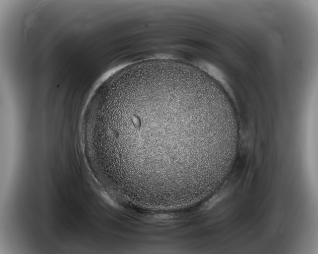 X0000086241035200704051214