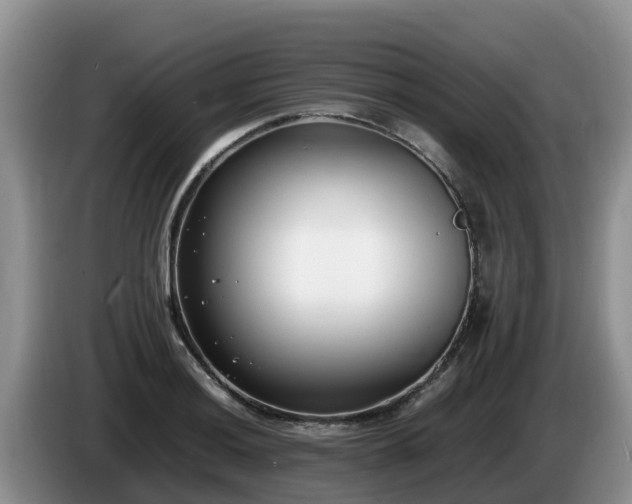 X0000086241036200704051214