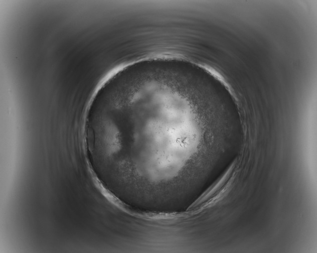 X0000086241038200704051214