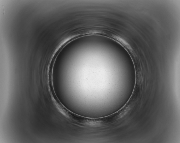 X0000086241039200704051214